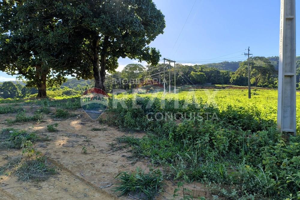 Terreno - Venda - Ipanema , Minas Gerais - 2_image_2_watermark_dom._11012026_132138.jpg - 870451001-161