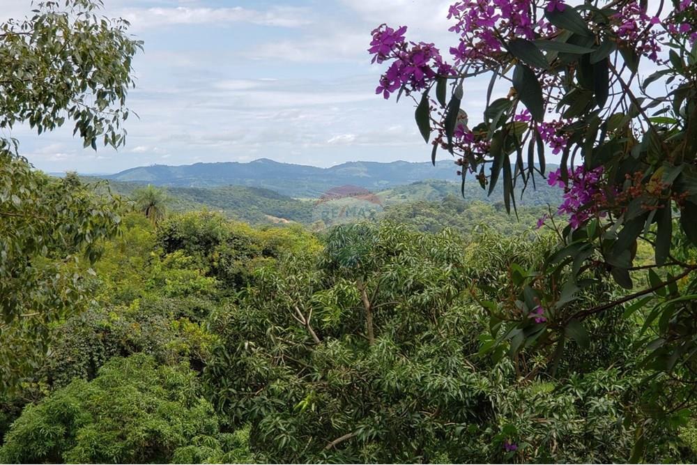 Chácara / Sítio / Fazenda - Venda - Caeté , Minas Gerais - WhatsApp Image 2025-08-25 at 12.42.16 (1).jpeg - 870411117-15