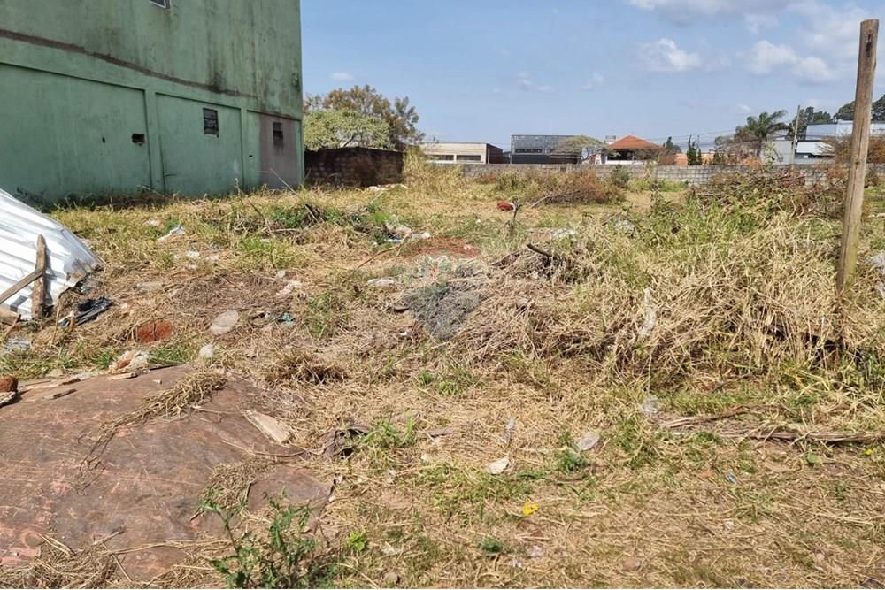 Terreno - Alugar - Nova Lima , Minas Gerais - foto 23.jpeg - 870421084-26