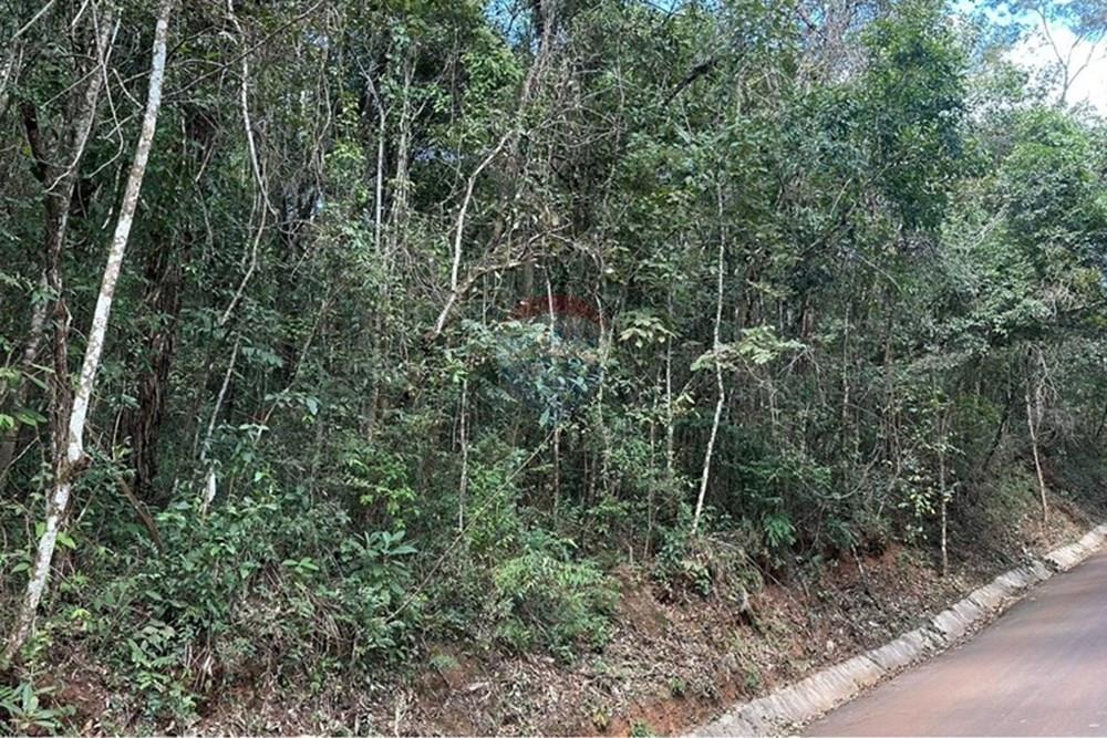 Terreno - Venda - Nova Lima , Minas Gerais - WhatsApp Image 2025-07-24 at 10.47.24.jpeg - 870351032-18