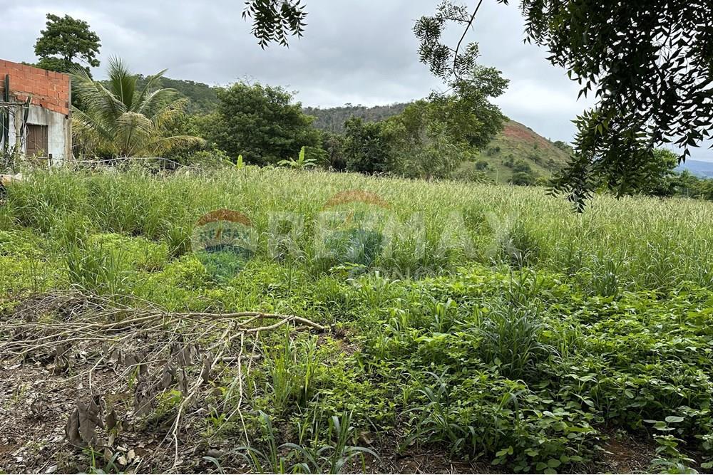 Chácara / Sítio / Fazenda - Venda - Ipanema , Minas Gerais - 0_image_0_watermark_ter._23122025_141300.jpg - 870451001-159