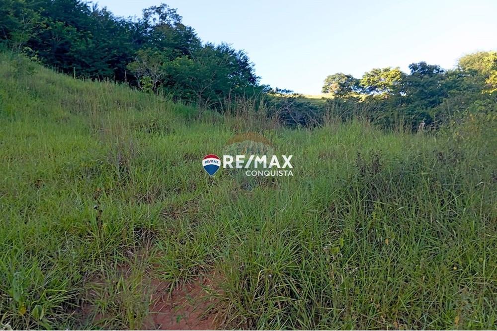 Chácara / Sítio / Fazenda - Venda - Pocrane , Minas Gerais - WhatsApp Image 2025-04-08 at 09.40.33(1).jpeg - 870451001-124