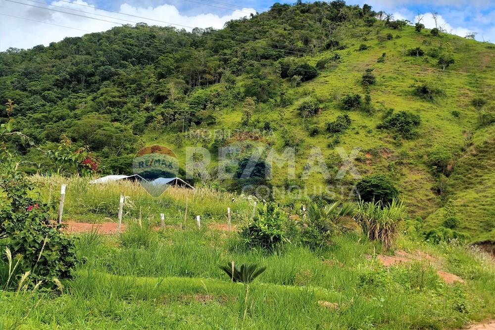 Chácara / Sítio / Fazenda - Venda - Conceição de Ipanema , Minas Gerais - 0_image_0_watermark_dom._11012026_131453.jpg - 870451004-113