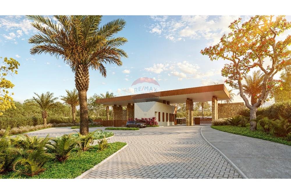 Chácara / Sítio / Fazenda - Venda - Cachoeira da Prata , Minas Gerais - WhatsApp Image 2025-06-30 at 13.47.28.jpeg - Quintal - 870251009-459