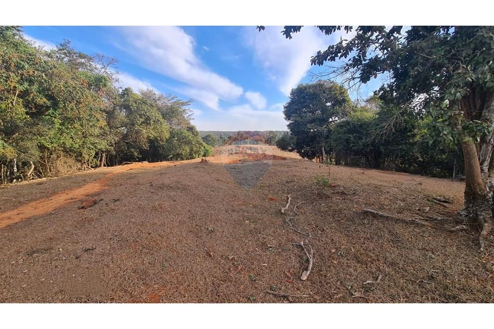 Chácara / Sítio / Fazenda - Venda - Uberaba , Minas Gerais - 35 Fazenda Venda R$ 6.500.000 em Uberaba na Remax 870291025-115.jpeg - 870291025-115