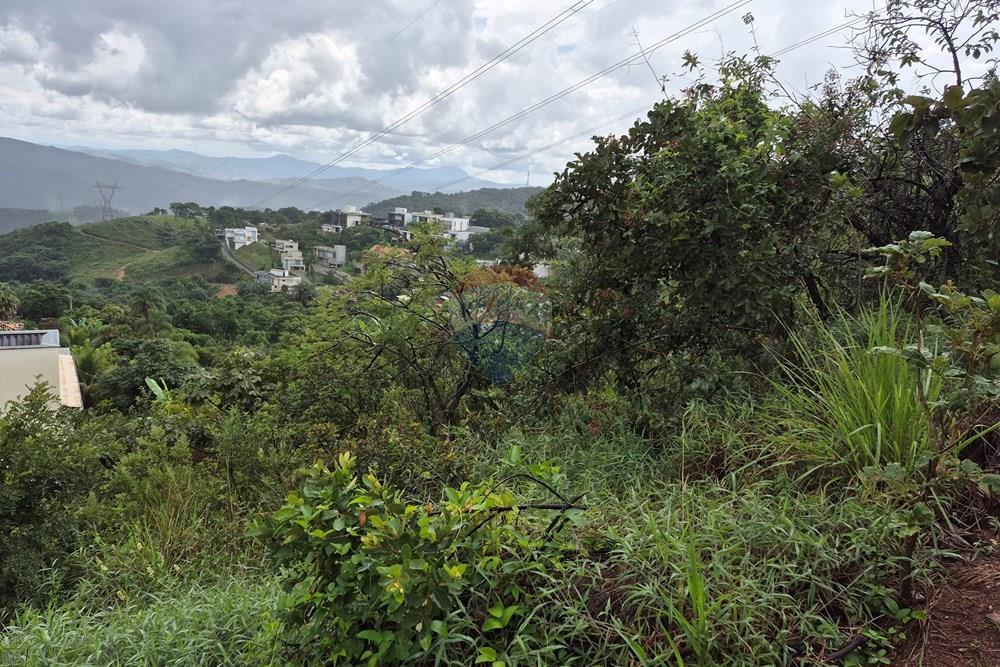 Terreno - Venda - Nova Lima , Minas Gerais - 20260318_105612.jpg - 870421084-35