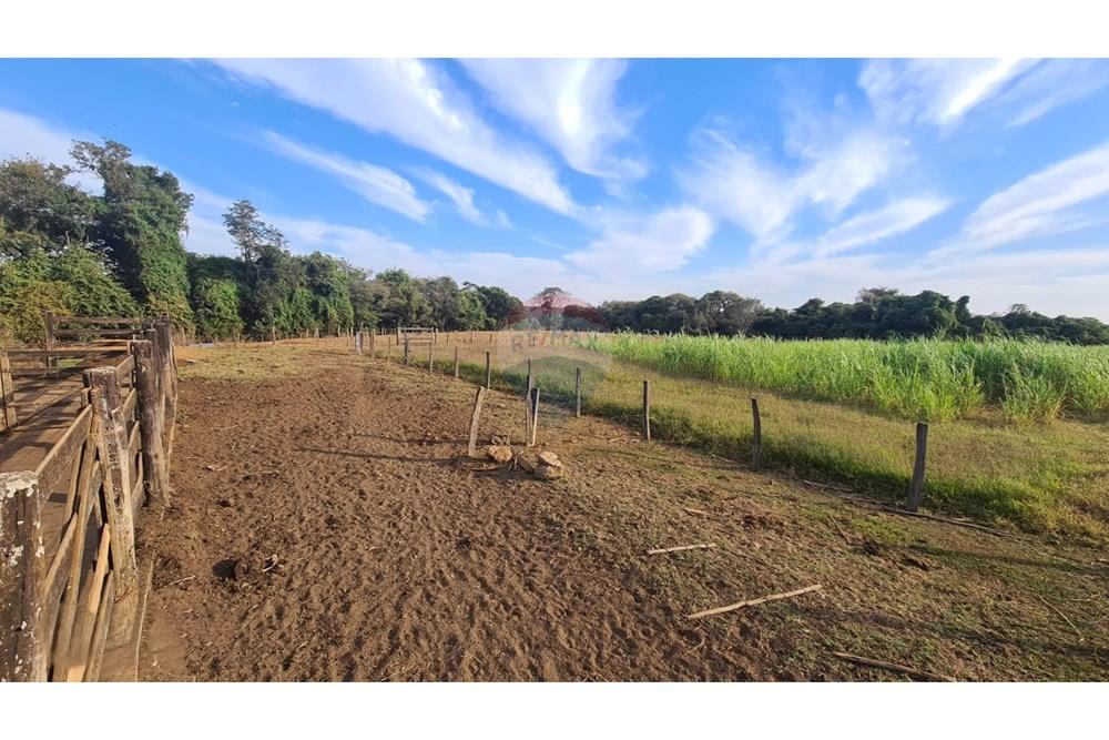 Fazenda - Venda - Uberaba , Minas Gerais - 44 Fazenda Venda R$ 6.500.000 em Uberaba na Remax 870291025-116.jpeg - 870291025-116