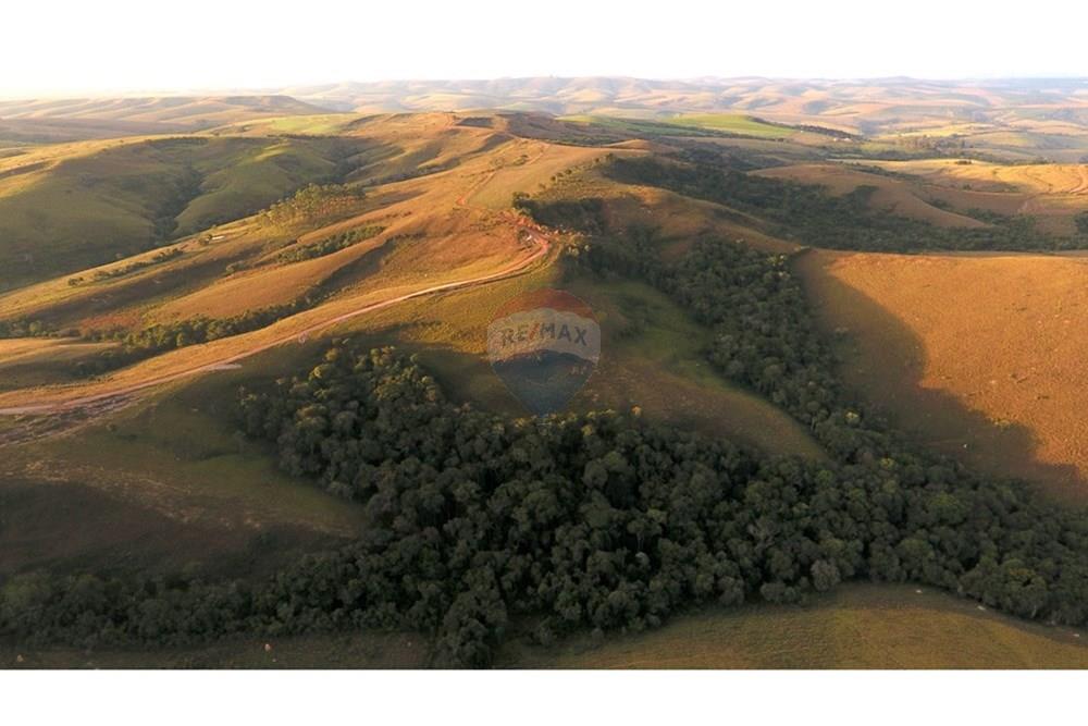 Fazenda - Venda - São Roque de Minas , Minas Gerais - DJI_0043.JPG - 870431039-50