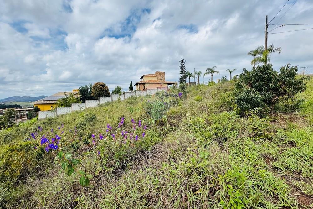 Terreno - Venda - Nova Lima , Minas Gerais - IMG_8164.jpg - 870421116-99