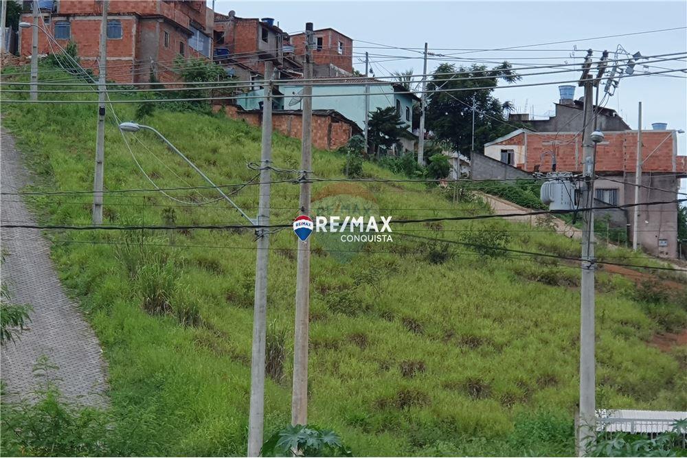 Terreno - Venda - Ipanema , Minas Gerais - 20 - 870451013-78