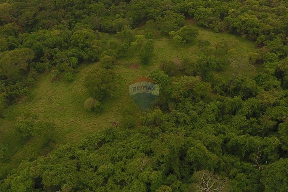 Terreno - Venda - Pedrinópolis , Minas Gerais - DJI_0045.JPG - Pátio interno - 870431063-9