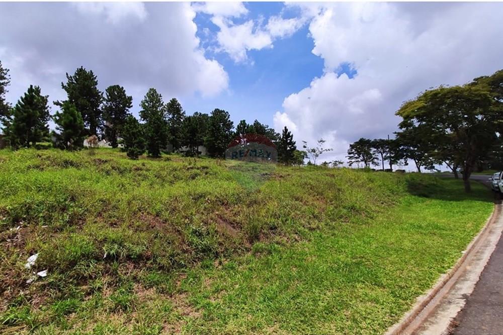 Terreno - Venda - Nova Lima , Minas Gerais - IMG_20250128_114531.jpg - 870421014-287