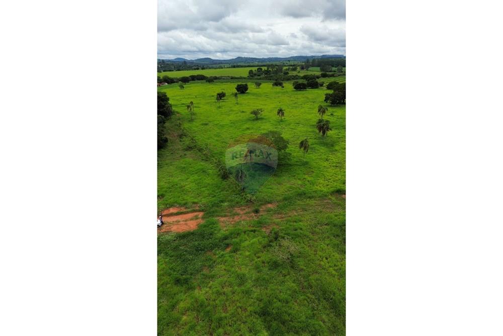 Chácara / Sítio / Fazenda - Venda - São Sebastião do Paraíso , Minas Gerais - SITIO ROMULO BICEGO (3).jpeg - 870811007-131