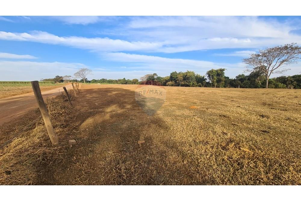 Chácara / Sítio / Fazenda - Venda - Uberaba , Minas Gerais - 39 Fazenda Venda R$ 6.500.000 em Uberaba na Remax 870291025-115.jpeg - 870291025-115