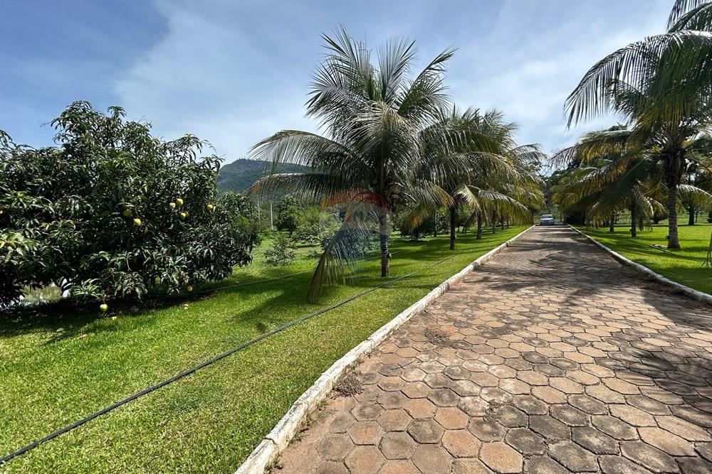 Chácara / Sítio / Fazenda - Venda - Alpercata , Minas Gerais - 16.jpeg - 870671001-168