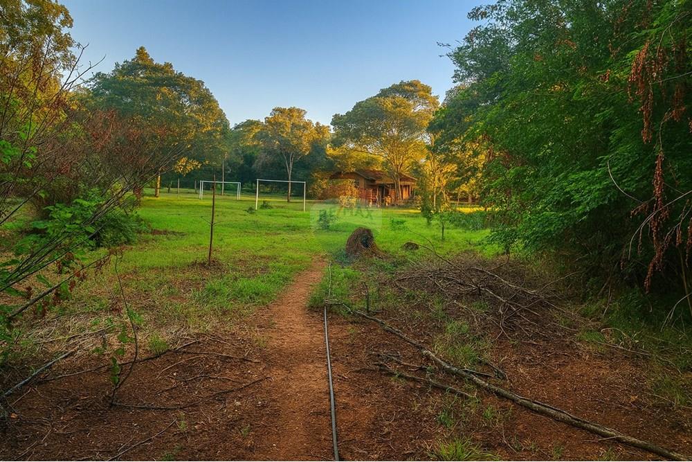 Chácara / Sítio / Fazenda - Venda - Ibirité , Minas Gerais - 74c2b8ca-068a-4709-bcdc-41fd1f452d82.jpeg - 870241024-77