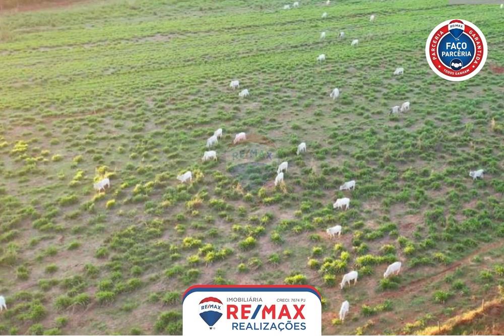 Gyvenamasis - Ferma - Patos de Minas , Minas Gerais - BR - 1.jpg - 870631011-31