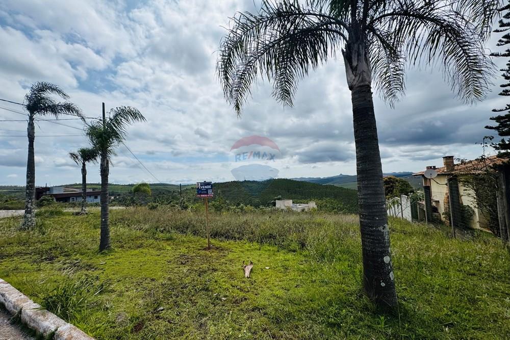 Terreno - Venda - Nova Lima , Minas Gerais - IMG_8157.jpg - 870421116-99