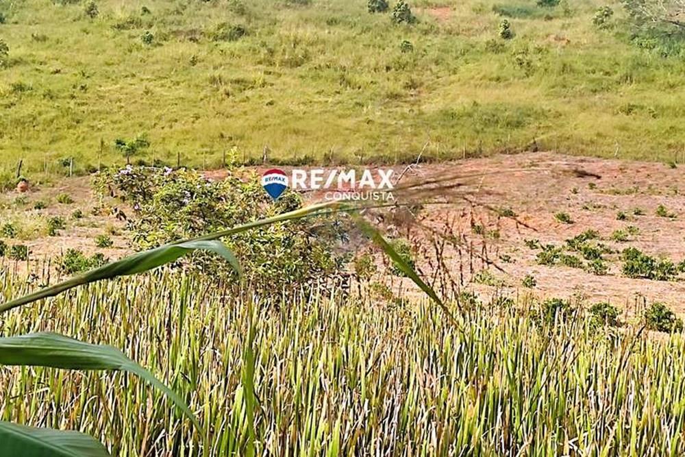 Chácara / Sítio / Fazenda - Venda - Ipanema , Minas Gerais - 6_IMG_20240515_085413_watermark_dom._23062024_101022.jpg - 870451001-121