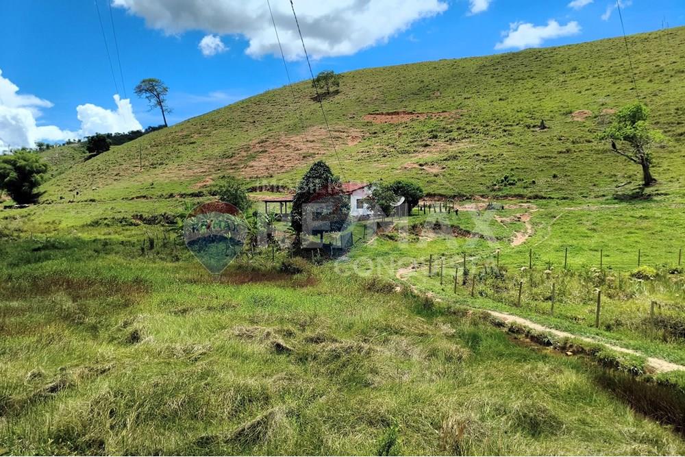 Chácara / Sítio / Fazenda - Venda - Taparuba , Minas Gerais - 1_image_1_watermark_sex._19122025_102305.jpg - 870451001-158