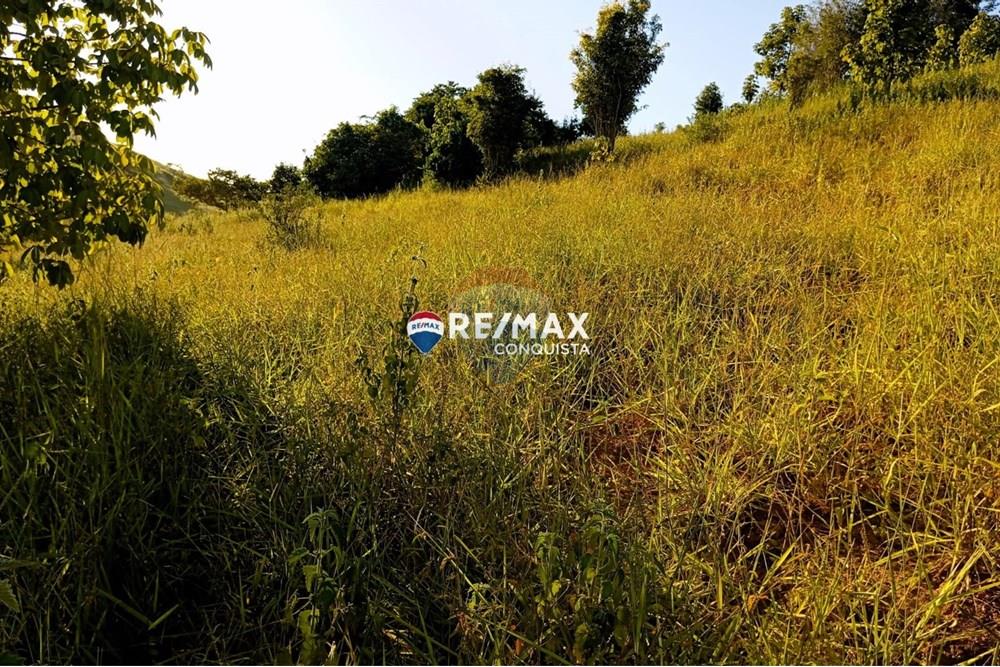 Chácara / Sítio / Fazenda - Venda - Pocrane , Minas Gerais - WhatsApp Image 2025-04-08 at 09.45.09.jpeg - 870451001-124