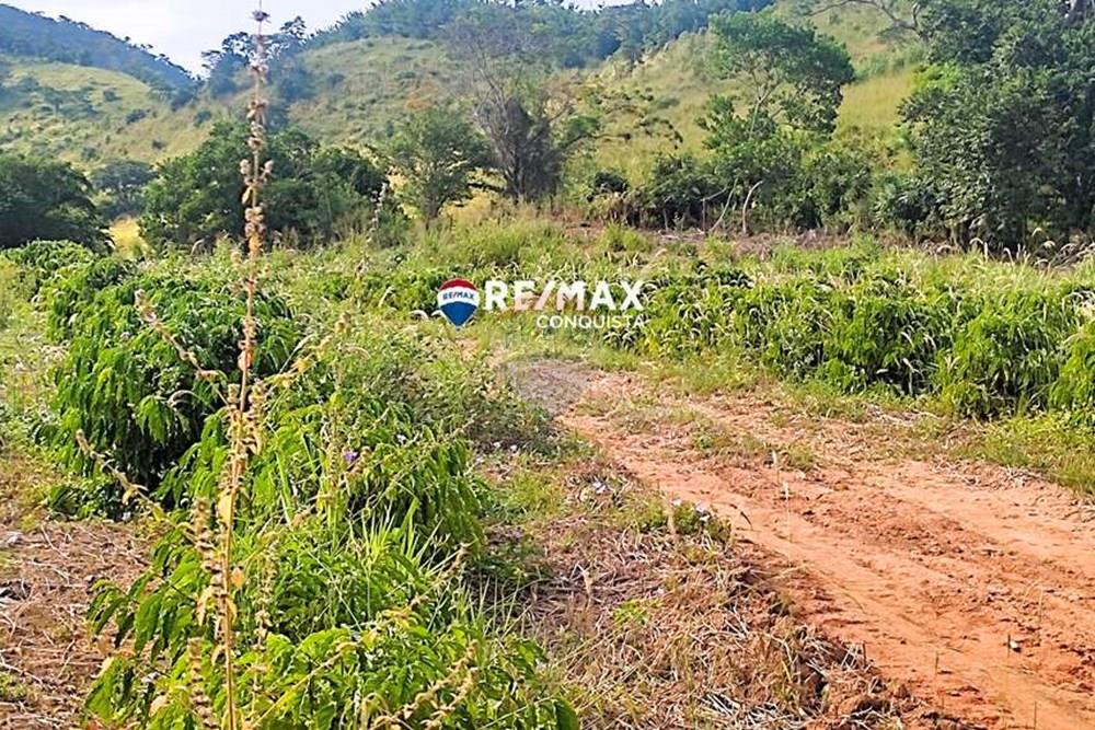 Chácara / Sítio / Fazenda - Venda - Ipanema , Minas Gerais - 7_IMG_20240515_085921_watermark_dom._23062024_100805.jpg - 870451001-121