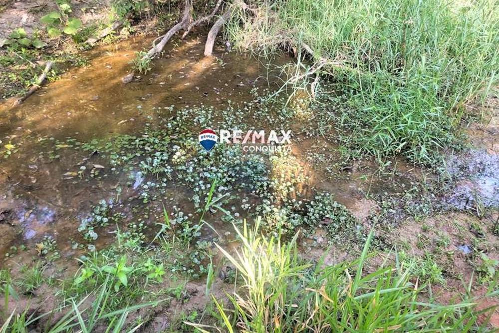 Chácara / Sítio / Fazenda - Venda - Ipanema , Minas Gerais - 7_IMG_20240515_075039_watermark_dom._23062024_100146.jpg - 870451001-121