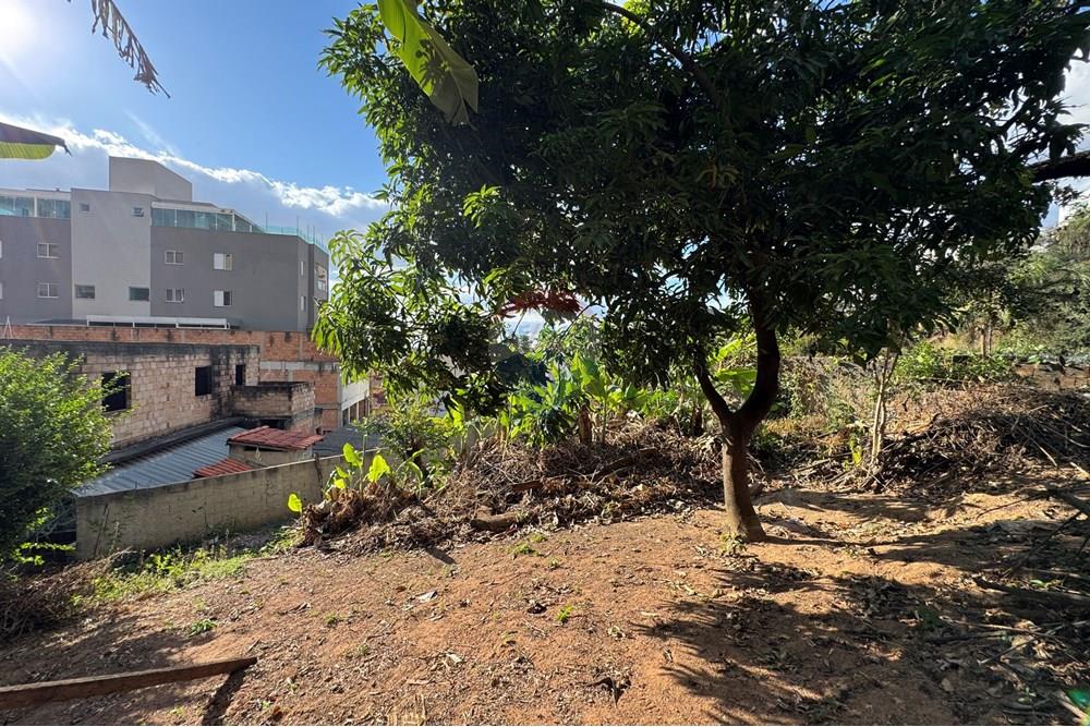 Terreno - Venda - Belo Horizonte , Minas Gerais - IMG_0296.JPG - 870411048-65