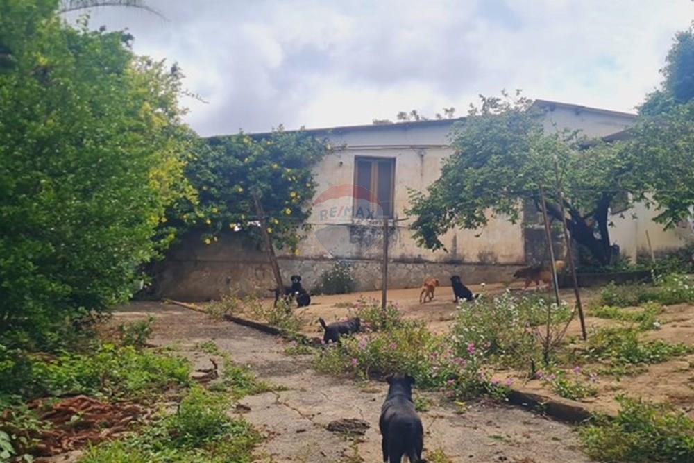 Fazenda - Venda - Pedro Leopoldo , Minas Gerais - WhatsApp Image 2025-12-11 at 15.18.45.jpeg - 870411117-34