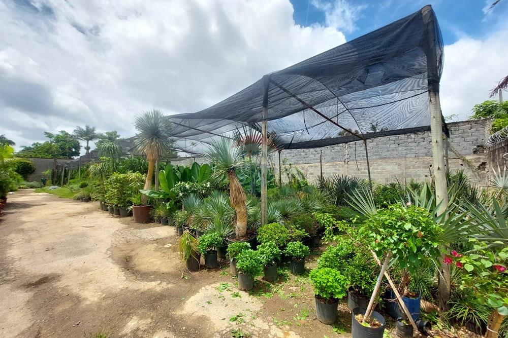 Terreno - Venda - Belo Horizonte , Minas Gerais - 3.jpg - Pátio interno - 870701004-63