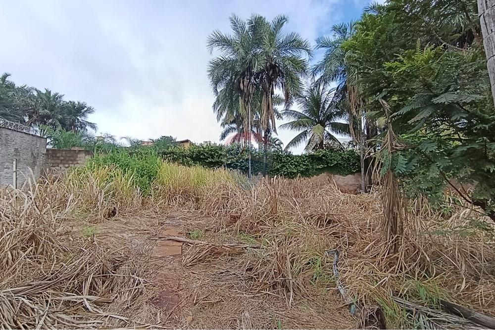 Casa - Alugar - Ituiutaba , Minas Gerais - WhatsApp Image 2026-03-14 at 09.56.53 (1).jpeg - 870771001-53