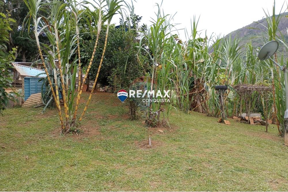 Chácara / Sítio / Fazenda - Venda - Ipanema , Minas Gerais - 2_image_2_watermark_seg._12052025_100733.jpg - 870451004-100