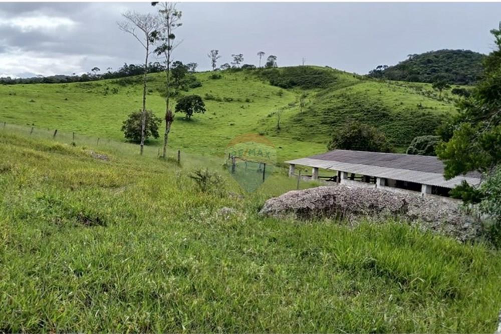 Fazenda - Venda - Serro , Minas Gerais - WhatsApp Image 2025-11-22 at 10.11.31 (2).jpeg - 870411101-18