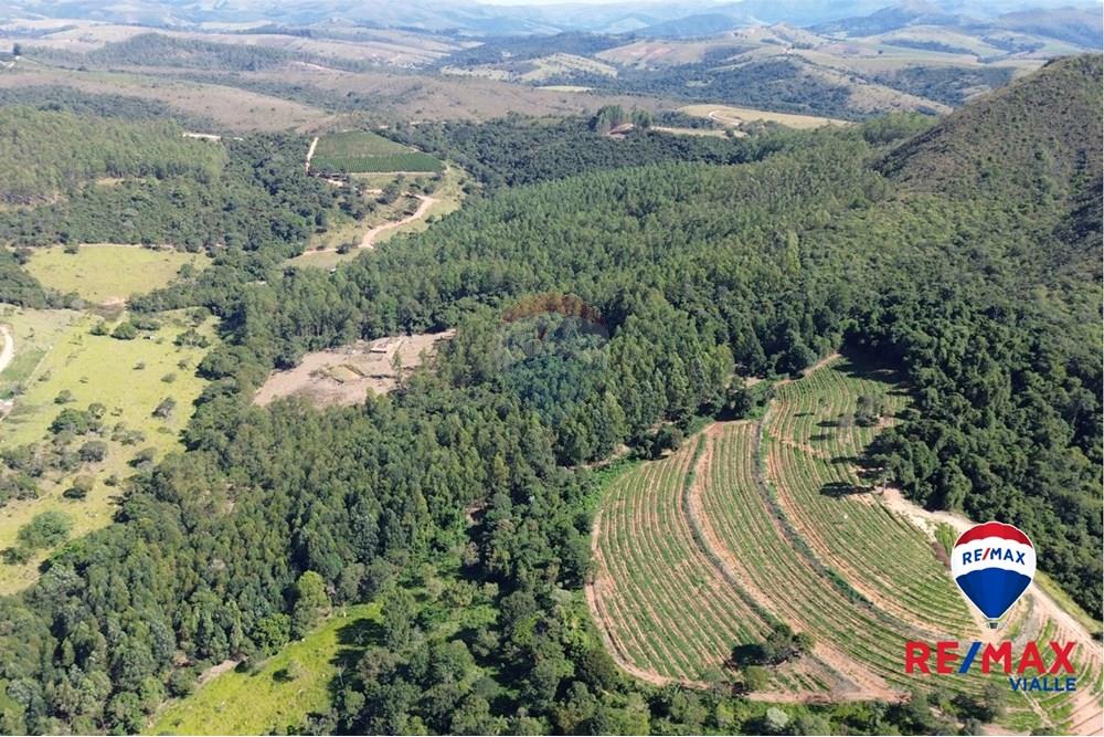 Chácara / Sítio / Fazenda - Venda - São Roque de Minas , Minas Gerais - 3a116cba-c3aa-441a-abab-4d1913c3185e.jpg - 870731003-7