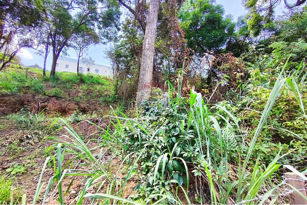 Terreno - Venda - Vespasiano , Minas Gerais - IMG_20251130_125726.jpg - 870251115-3