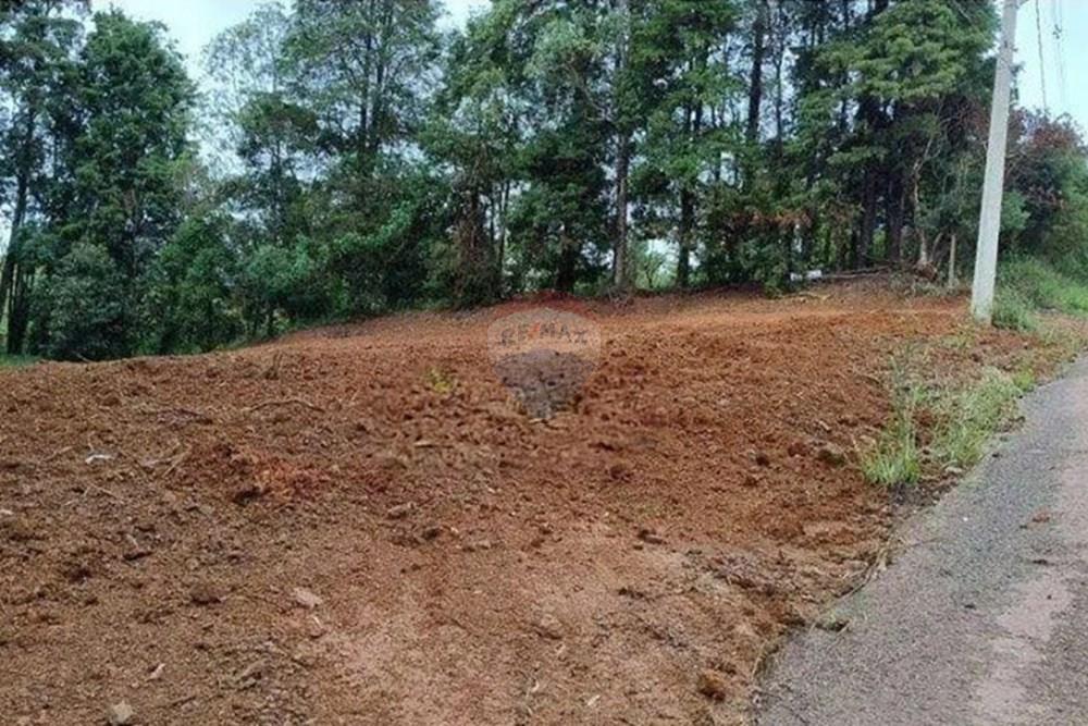 Terreno - Venda - Poços de Caldas , Minas Gerais - WhatsApp Image 2026-03-13 at 12.44.40.jpeg - 870361071-16