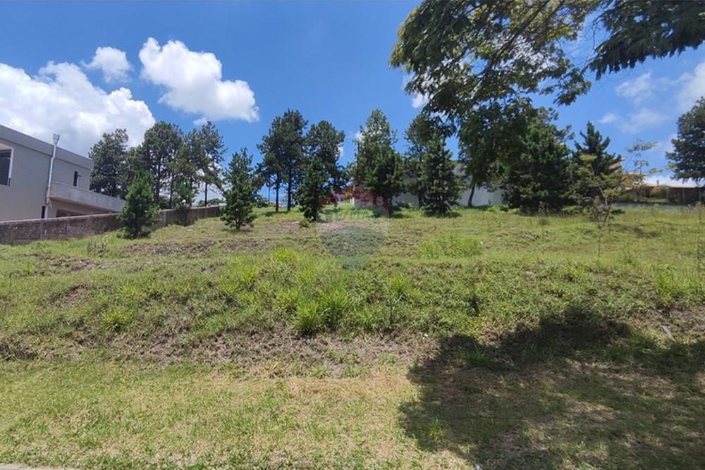 Terreno - Venda - Nova Lima , Minas Gerais - IMG_20250111_115011.jpg - 870421014-287