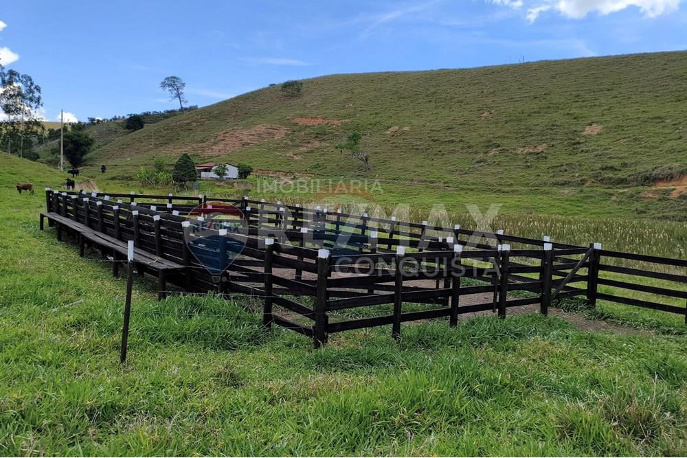 Chácara / Sítio / Fazenda - Venda - Taparuba , Minas Gerais - 7_image_7_watermark_sex._19122025_102006.jpg - 870451001-158