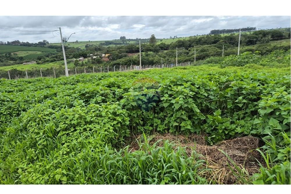 Terreno - Venda - Araxá , Minas Gerais - RODRIGO 11.jpeg - 870431054-10