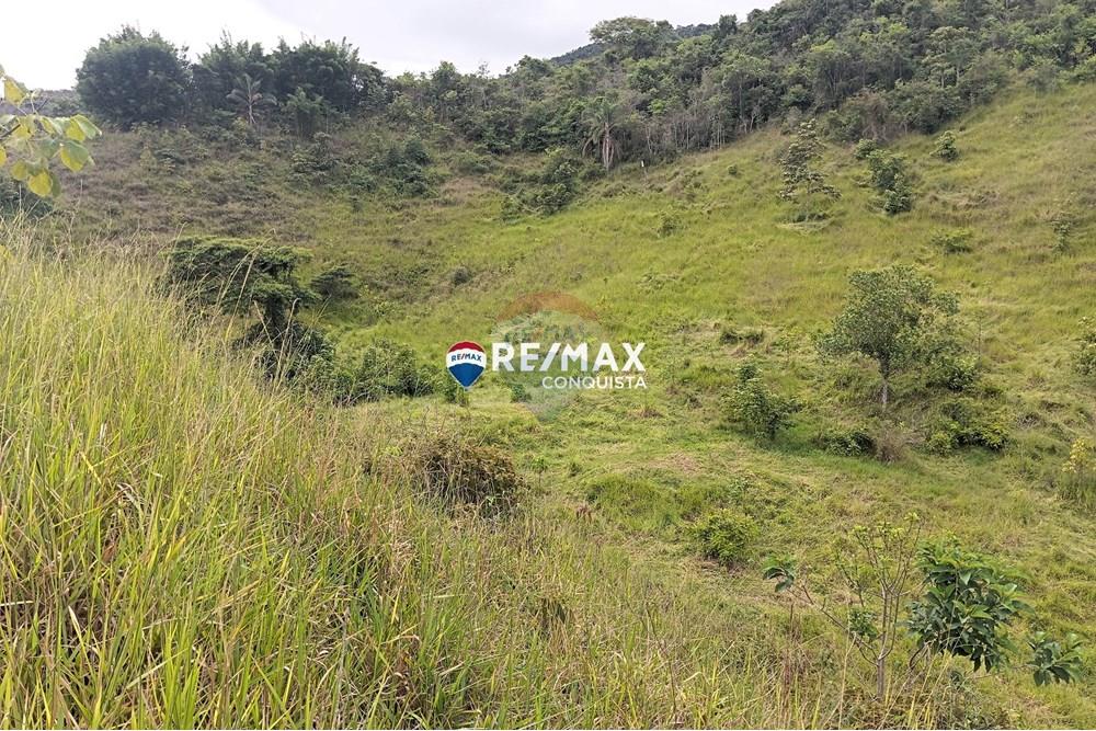 Chácara / Sítio / Fazenda - Venda - Conceição de Ipanema , Minas Gerais - 7_image_7_watermark_sáb._12042025_141819.jpg - 870451013-61