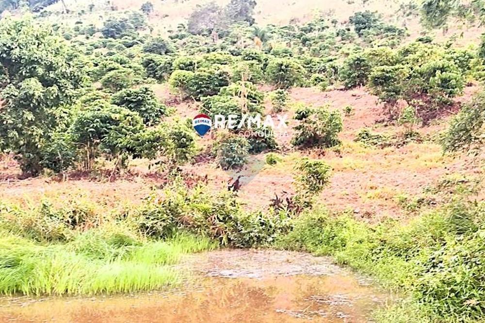 Chácara / Sítio / Fazenda - Venda - Ipanema , Minas Gerais - 5_IMG_20240515_070844_watermark_dom._23062024_100229.jpg - 870451001-121