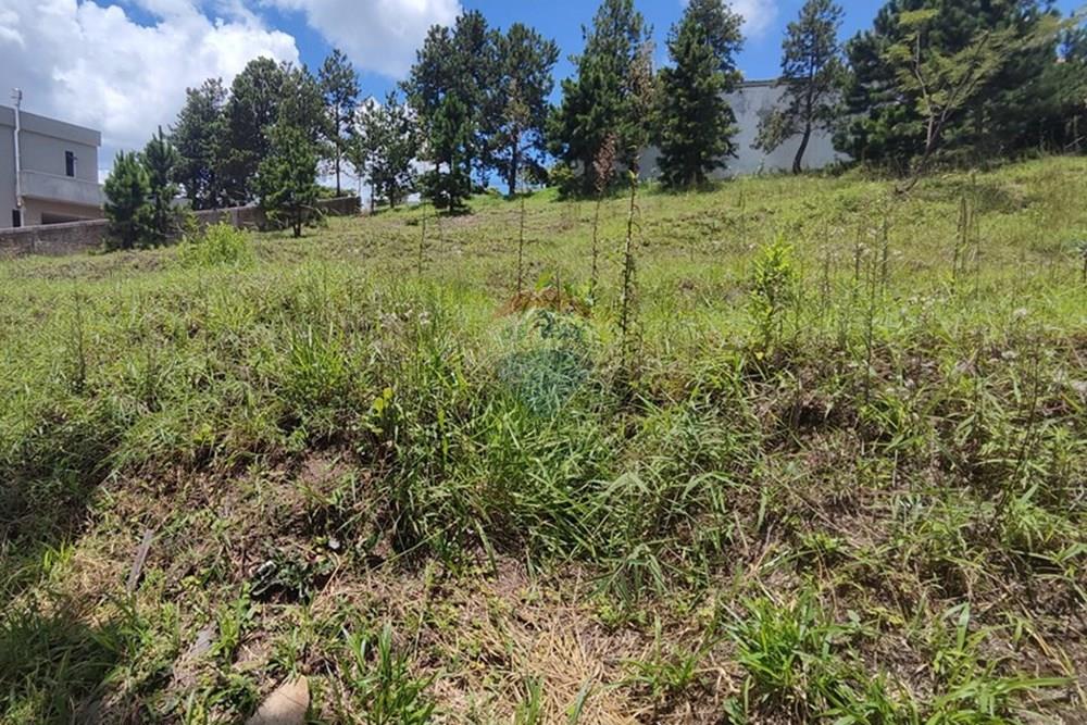 Terreno - Venda - Nova Lima , Minas Gerais - IMG_20250111_115117.jpg - 870421014-287