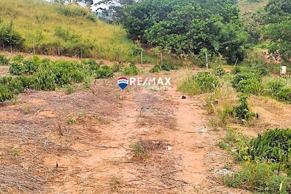 Chácara / Sítio / Fazenda - Venda - Ipanema , Minas Gerais - 4_IMG_20240515_083013_watermark_dom._23062024_100001.jpg - 870451001-121