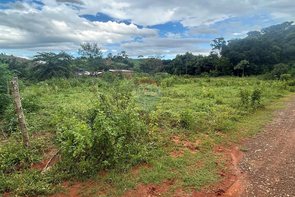 Chácara / Sítio / Fazenda - Venda - Alpercata , Minas Gerais - IMG_5641.jpg - 870671001-154