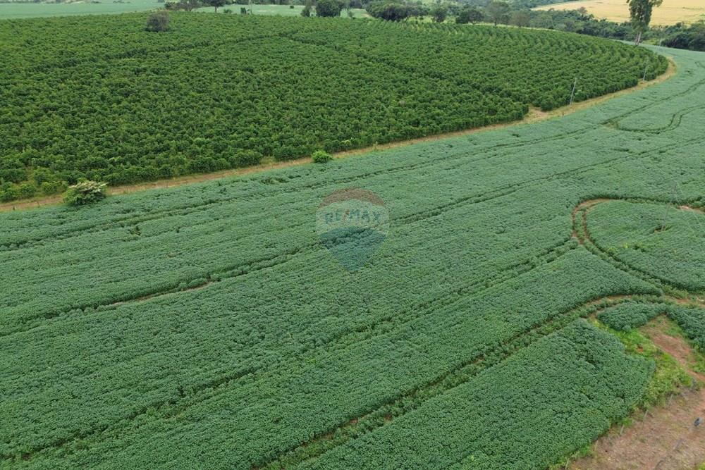 Fazenda - Venda - Araxá , Minas Gerais - 07.JPG - Fachada - 870431045-58