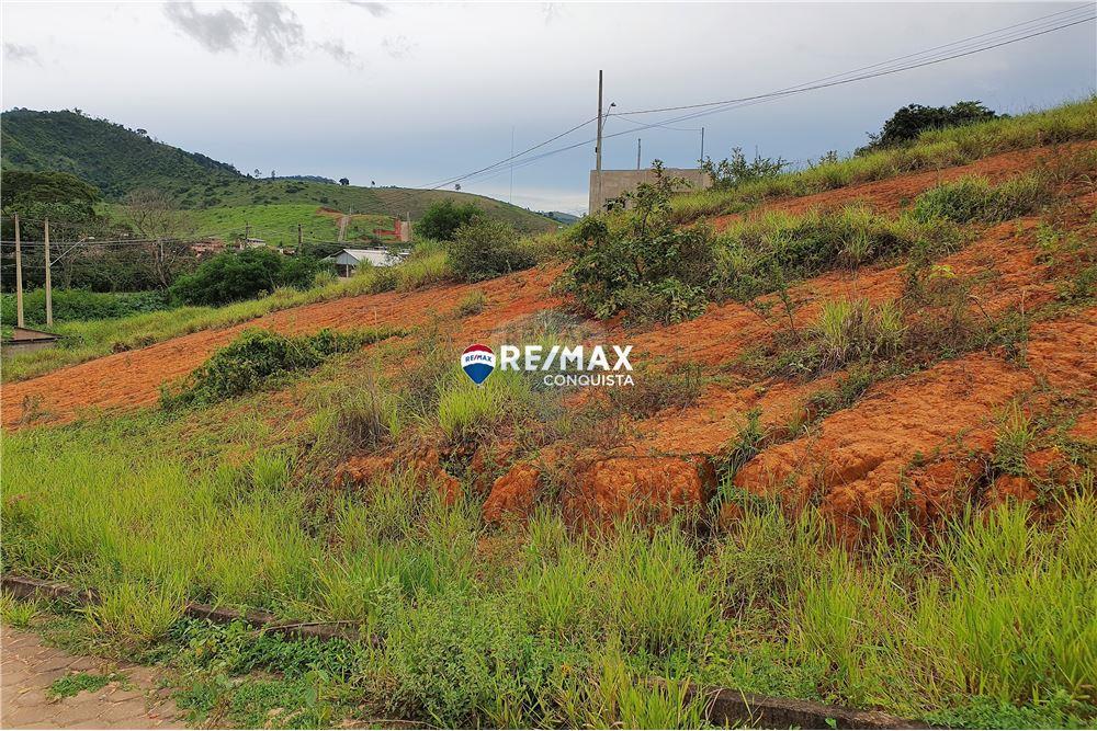Terreno - Venda - Ipanema , Minas Gerais - 26 - 870451004-110