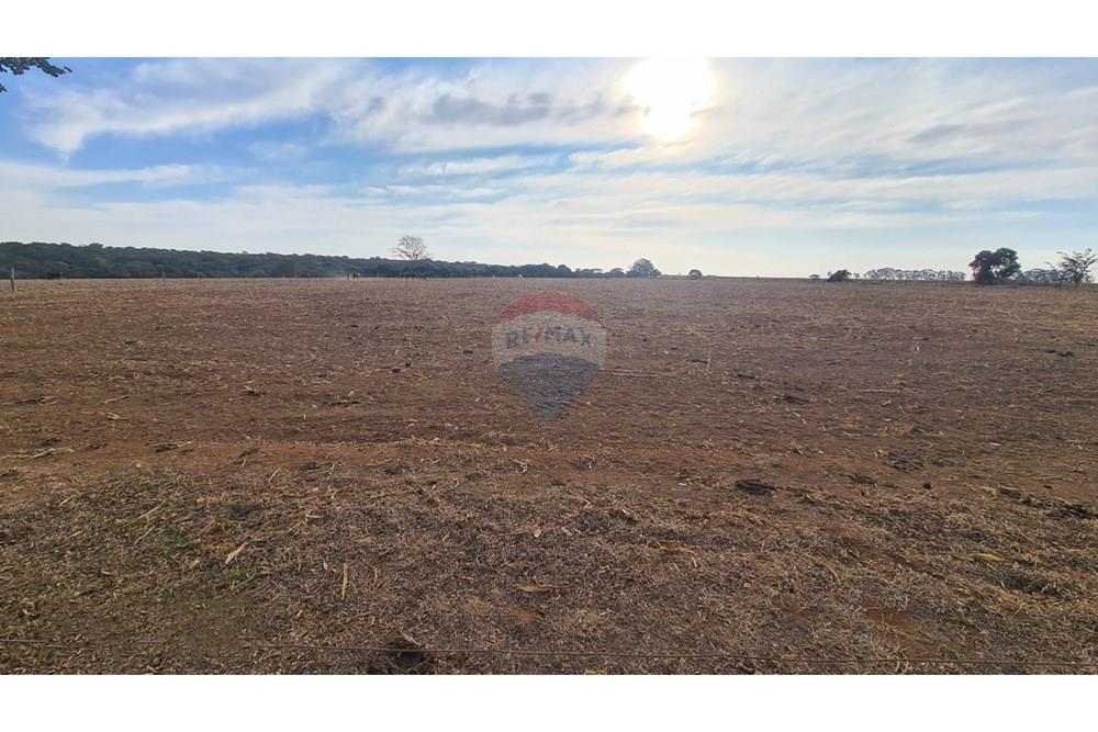 Chácara / Sítio / Fazenda - Venda - Uberaba , Minas Gerais - 11 Fazenda Venda R$ 6.500.000 em Uberaba na Remax 870291025-11501 Fazenda Venda R$ 6.500.000 em Uberaba na Remax 870291025-115.j - 870291025-115