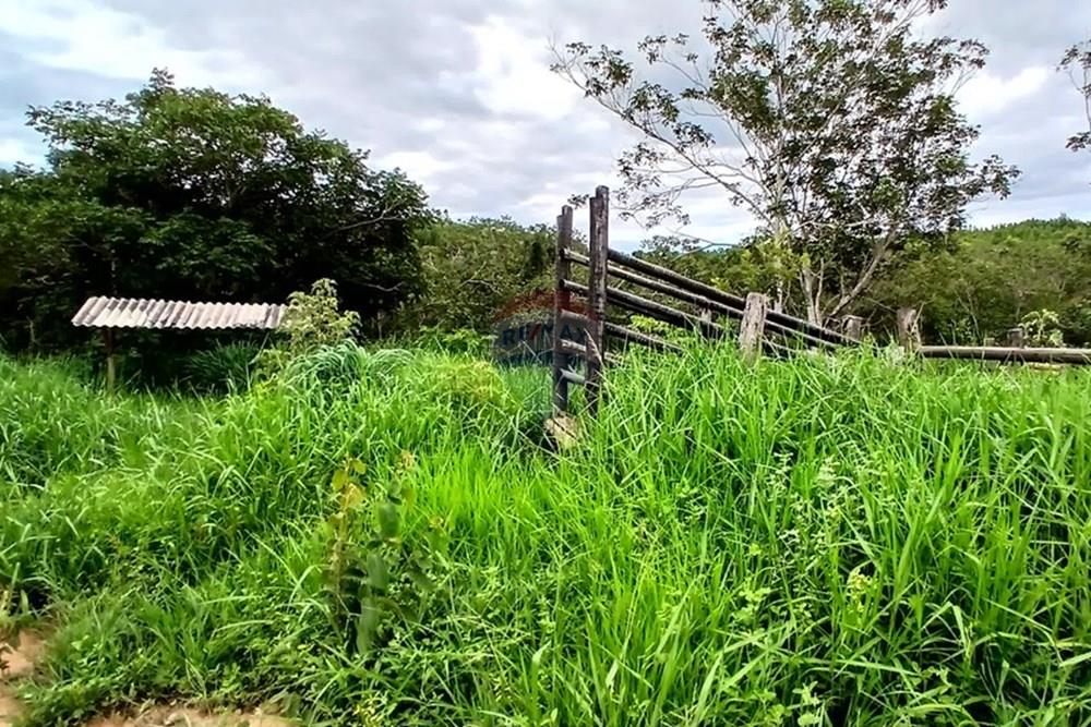 Fazenda - Venda - Inimutaba , Minas Gerais - 20260127_163035.jpg - 870411101-21