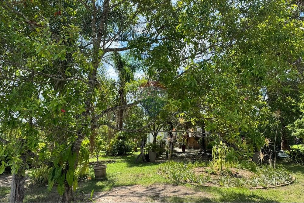 Terreno - Venda - Brumadinho , Minas Gerais - WhatsApp Image 2025-11-20 at 10.09.15.jpeg - 870421014-357