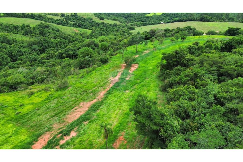 Chácara / Sítio / Fazenda - Venda - São Sebastião do Paraíso , Minas Gerais - SITIO ROMULO BICEGO (1).jpeg - 870811007-131